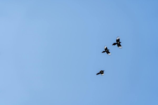 Grossiste cbd france : votre partenaire pour des produits de qualité