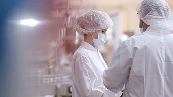 Formation haccp : maîtrisez l'hygiène alimentaire efficace!